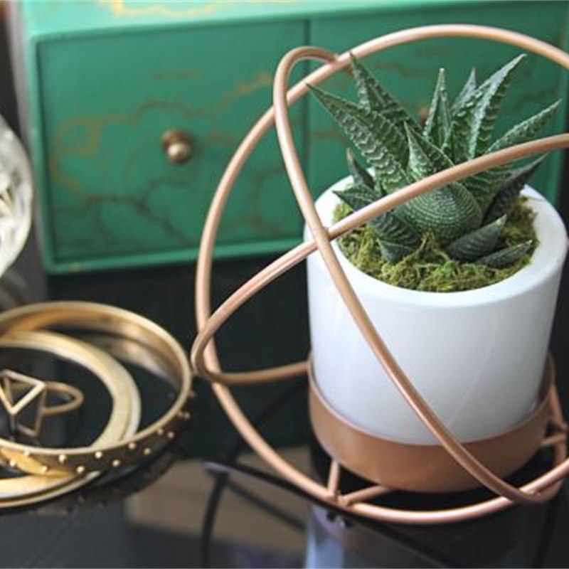 Ceramic Succulent Planter