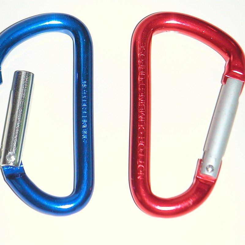 Mini Carabiner Key Ring